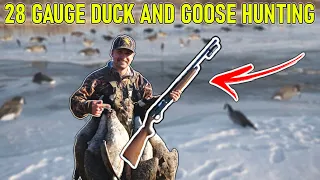 EVERYTHING You Need To KNOW About 28 GAUGE Duck and Goose Hunting!!