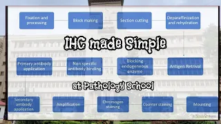 Basics of IHC by Dr Ankita