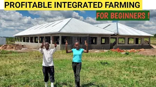 How To Start A Profitable Mixed Farm On A small BUDGET For Beginners!