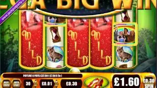 £250 MEGA BIG WIN (833 X STAKE) WIZARD OF OZ RUBY SLIPPERS ™