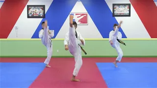 Han Bros Taekwondo Yellow Belt One Step Sparring 3-4