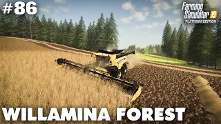 Willamina Forest #86 Harvesting Winter Wheat & Baling Straw, Farming Simulator 19 Timelapse, Seasons