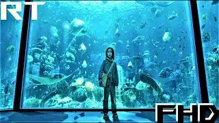 Aquaman 2018 - Arthur is talking to the fish Scene 2160p 4K BluRay