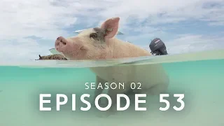 Ep 53 | Making The Most Of A NIGHTMARE Vacation In Great Exuma, Bahamas