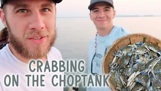 Catching Maryland Blue Crabs on a Trotline!