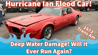 We Buy A FLOODED 1973 Pontiac Trans AM from HURRICANE Ian, this thing was DEEP!! Will It Run Again?