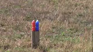 Shooting Bottles with .243