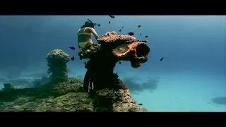 FREEDIVING IN APO REEF MINDORO (AQUAHOLICS FREEDIVING)