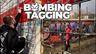 Graffiti Bombing & Tagging | Graffiti in line