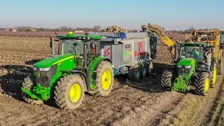 Raccolta Barbabietole | John Deere 6320, 6125R, 6910S, 7290R | Barbaran Servizi