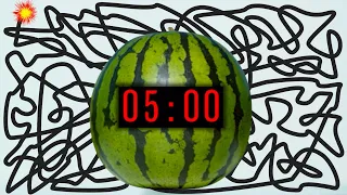 5 Minute Timer Bomb [WATERMELON] 🍉