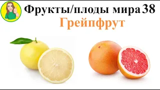 Фрукты   плоды мира 38 – Грейпфрут Сыроедение Фрукторианство и сладкий лимон