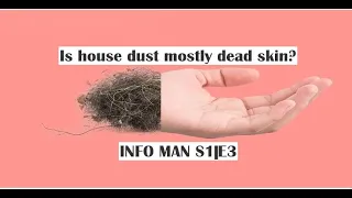 Is house dust mostly dead skin? INFO MAN S1|E3 #infoman #dust #deadskin #deadskincells #blacx #info