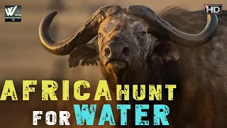 पानी के लिए अफ्रीका शिकार | Africa Hunt For Water | World Documentary HD