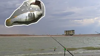 Рыбалка в Шу на водохранилище "Тасутколь"
