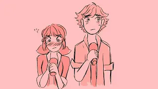 An Awkward duet || Miraculous Ladybug Animatic