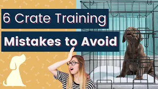Crate Training A Dog - Mistakes To Avoid With Your New Puppy