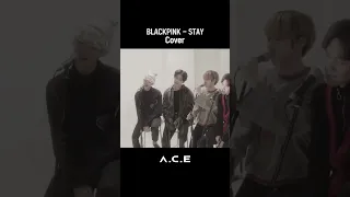 에이스(A.C.E) - 블랙핑크(BLACKPINK) - STAY Cover