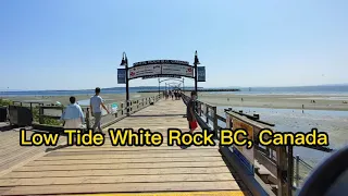 Low Tide White Rock BC, Canada