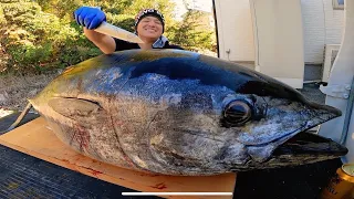 Hooray! 500,000 subscribers! Japanese Fisherman Dismantles a 50kg Bluefin Tuna!