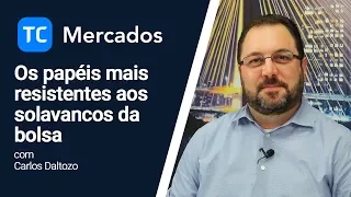 TC Mercados: os papéis mais resistentes aos solavancos da bolsa