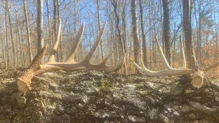 Shed hunting Kentucky public land 2024 (giant sheds)