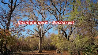 Cismigiu Park Bucharest autumn