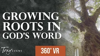 The Seed That Withstands Storms | A Dr. Tony Evans 360° Virtual Reality Experience