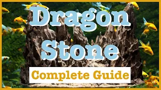 Dragon Stone Aquascaping | Complete Guide