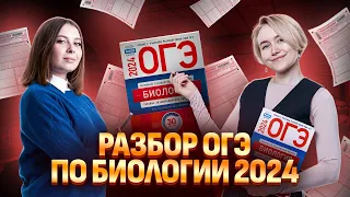 Разбор реального ОГЭ по биологии 2024