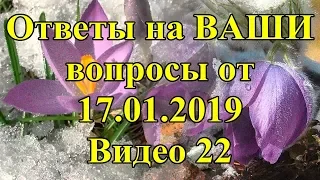 Ответы на ВАШИ вопросы от 17.01.2019. Видео 22.