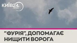 Як український БПЛА "Фурія" допомагає нашим військовим нищити ворога