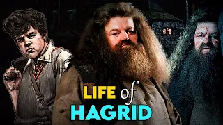 Life of Hagrid | Hagrid Origins Explained in Hindi