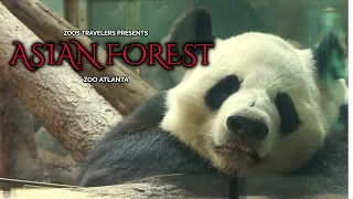 Asian Forest | Zoo Atlanta