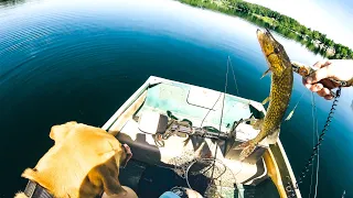 Catching BIG Chain Pickerel in the Adirondacks | Lake Fishing