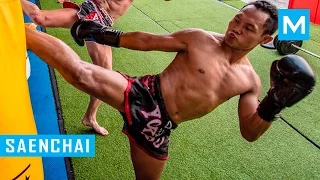 Saenchai Muay Thai Training 2016 | Muscle Madness