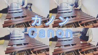 カノン【マリンバ】| Canon in D (Pachelbel) - Marimba Quartet