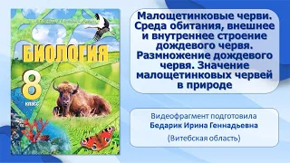 Тип Кольчатые черви. Тема 9. Малощетинковые черви. Среда обитания, внешнее и внутреннее строение