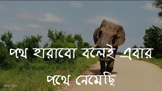 Poth Harabo Bolei Ebar। Hemanta Mukherjee | Salil Chowdhury | Cover | Bappy Emam