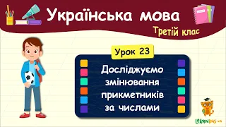 Досліджуємо змінювання прикметників за числами. Урок 23. Українська мова. 3 клас