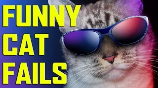 JFF || Funny Cat Fails Compilation 2016 || Funny Cat Moments || Приколы с котами 2016 ||