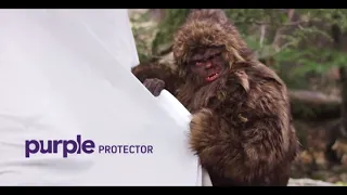 Best Mattress Protector | Can Your Mattress Protector Stand up to Sasquatch?