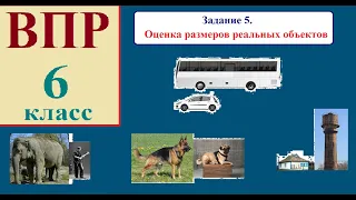 ВПР 6 класс Задание 5  Оценка размеров реальных объектов