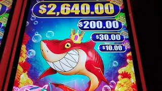 NEW SHARK'S LOCK slot machine, I POP the PIG and got the FREE SPINS 😎 😎