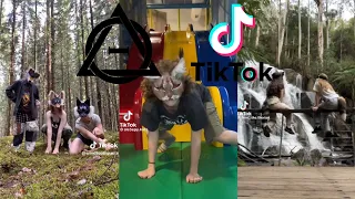 Therian and Quadrobics TikToks || Compilation 🐾🍂 || Alterhumans of TikTok #15