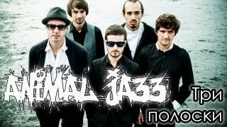 Animal jazz - Три полоски Live!