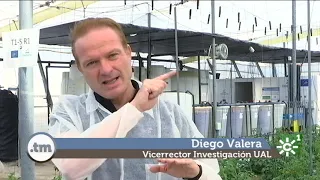 El riego en Almería con mezcla de agua de mar desalada y agua de pozo