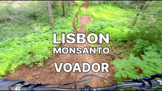 MTB in Lisbon @ Monsanto, Voador trail