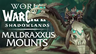 The 9 NEW Maldraxxus Mounts & Where to Find Them | Shadowlands