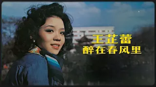 【歌手單曲】醉在春風裡 | 王芷蕾 Wang Zhi Lei | 官方歌詞版 Official Lyric Video